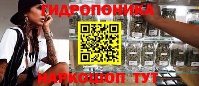 прущие грибы Севастополь