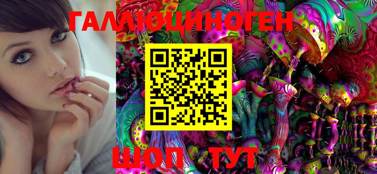 как найти закладки  Псилоцибиновые грибы MAGIC MUSHROOMS  Вход с VPN  Родники  Псилоцибиновые грибы Magic Shrooms 