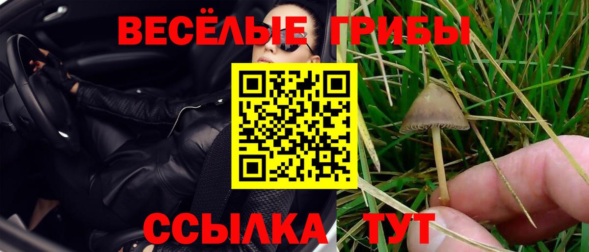 Галлюциногенные грибы Cubensis Родники