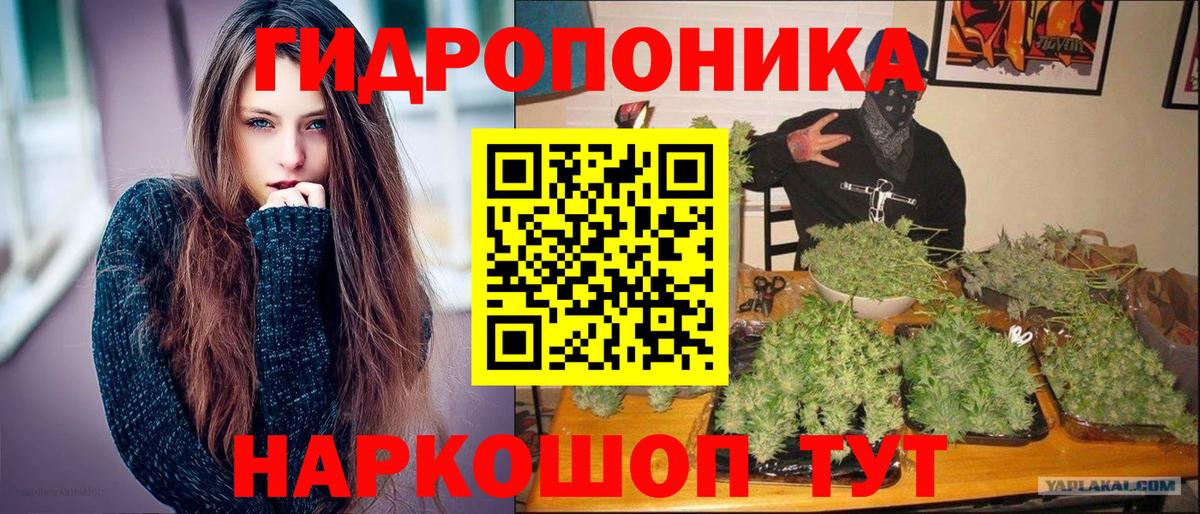 Бошки Шишки гибрид Родники